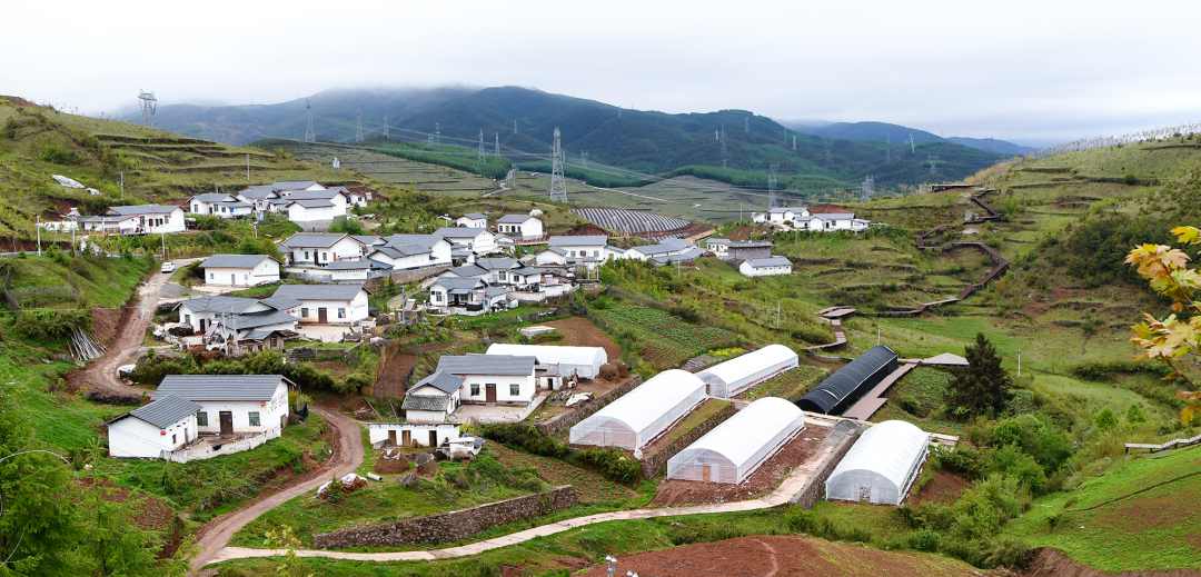 中国·888集团(6008-VIP认证)网站-登录入口