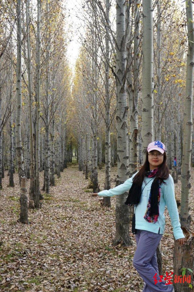 ��ɶ�����δ�� | �ɶ���������ҵ��Ȧǿ���˲����롱��ѡ�߶��ȣ�12���ᴺ��ͬ���ǡ�����