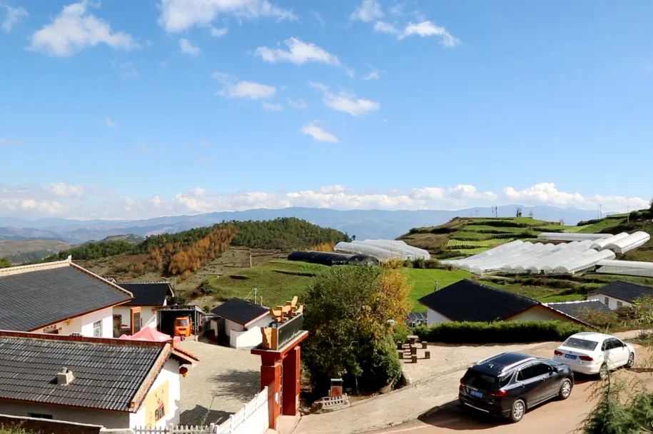 �й���888����(6008-VIP��֤)��վ-��¼���