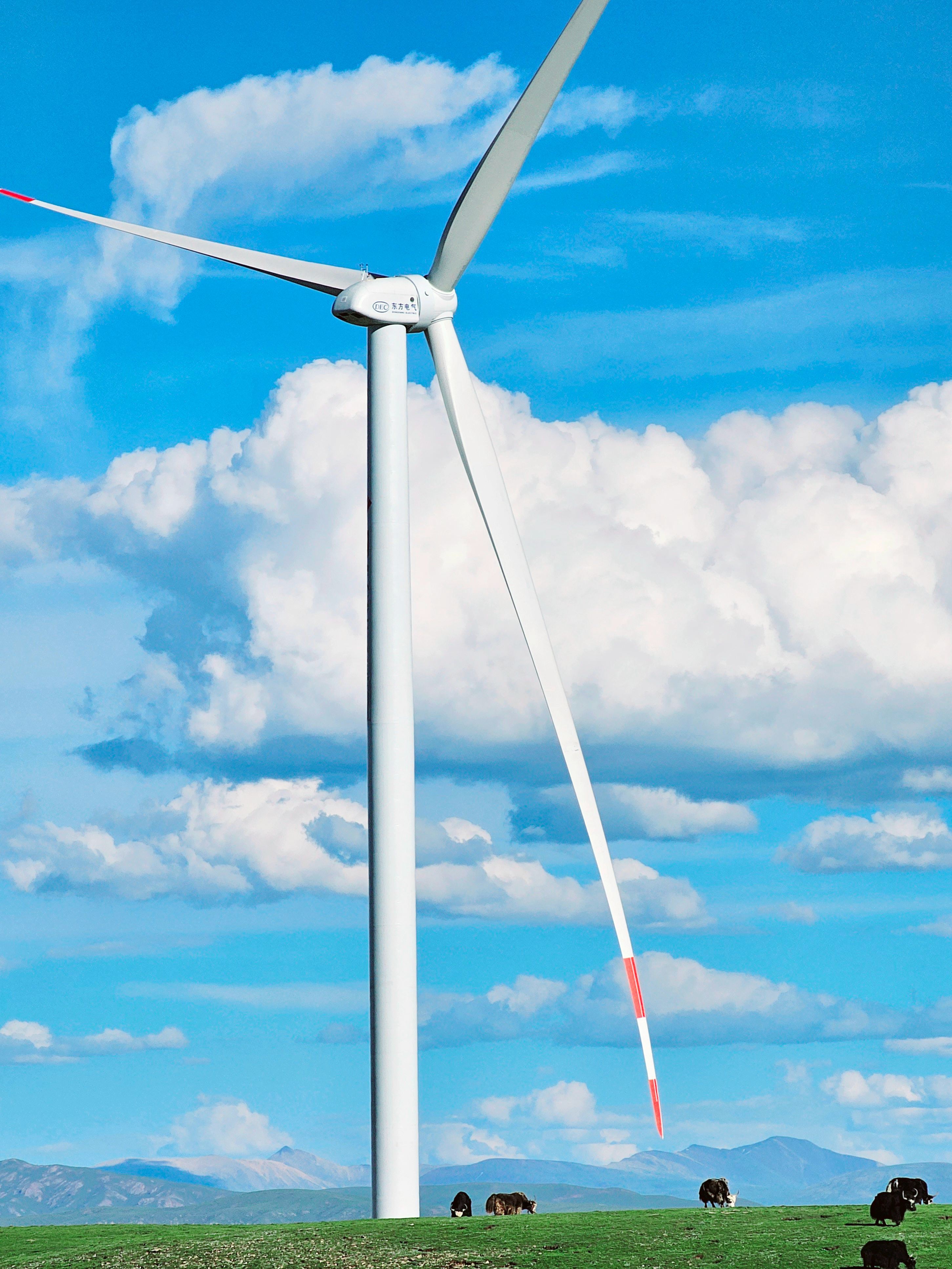 �й���888����(6008-VIP��֤)��վ-��¼���