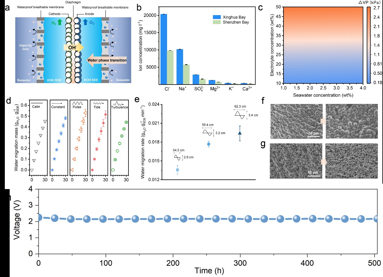 Öйú¡¤888¼¯ÍÅ(6008-VIPÈÏÖ¤)ÍøÕ¾-µÇ¼Èë¿Ú