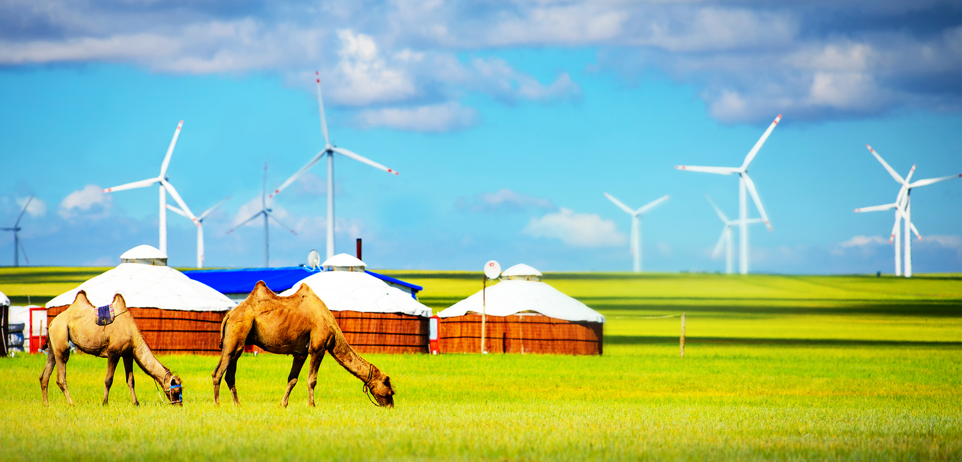 �й���888����(6008-VIP��֤)��վ-��¼���